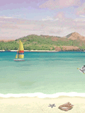 041213_freeze_beach.gif