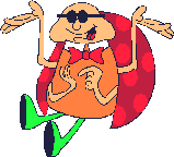 coccinelle-06.gif